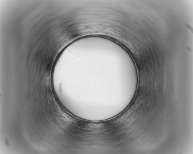 X0000094971513200712201211