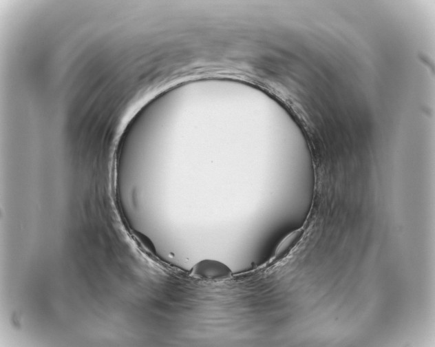 X0000094971520200712201211