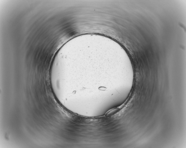 X0000094971521200712201211