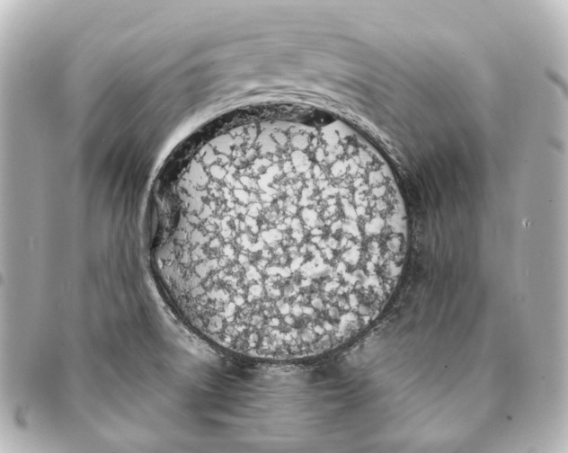 X0000094971522200712201211