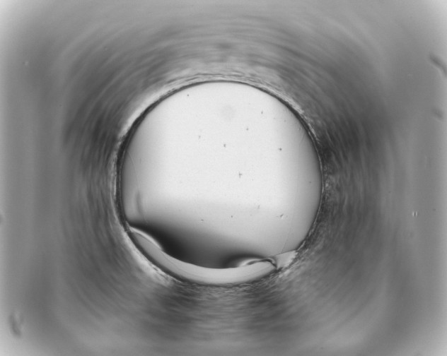 X0000094971523200712201211