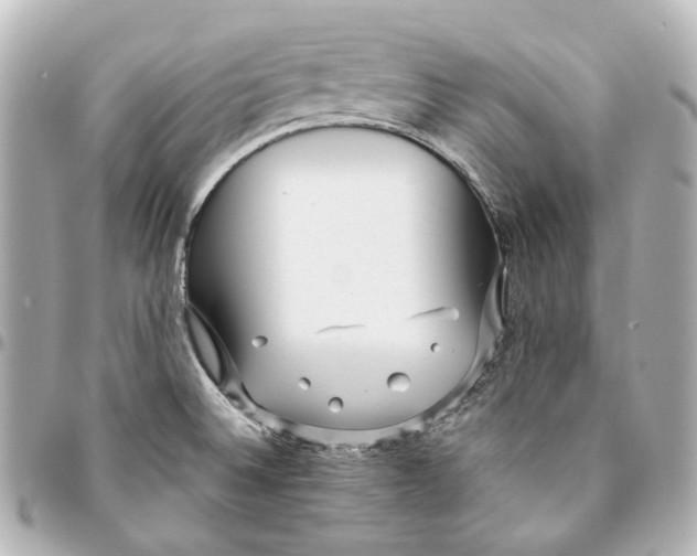 X0000094971524200712201211