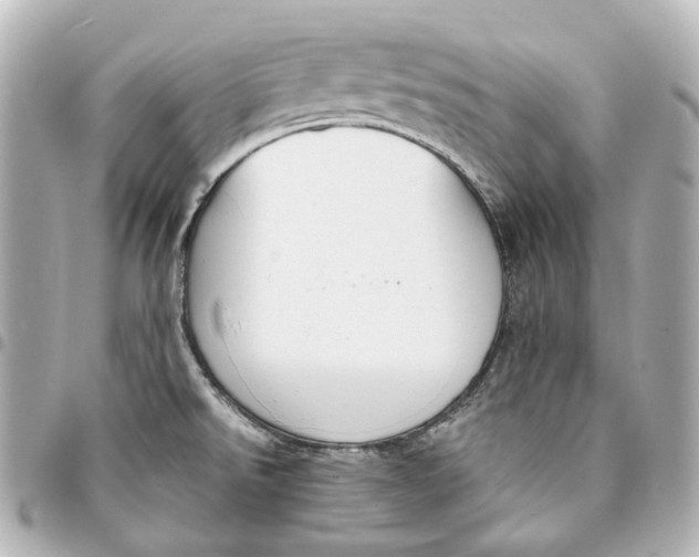 X0000094971526200712201211