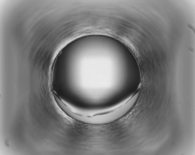 X0000094971528200712201211