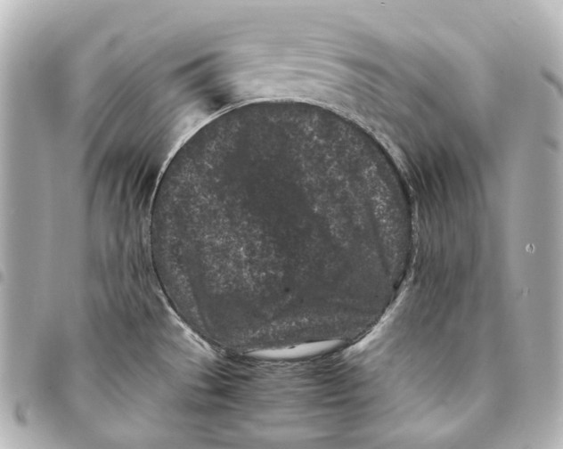 X0000094971529200712201211