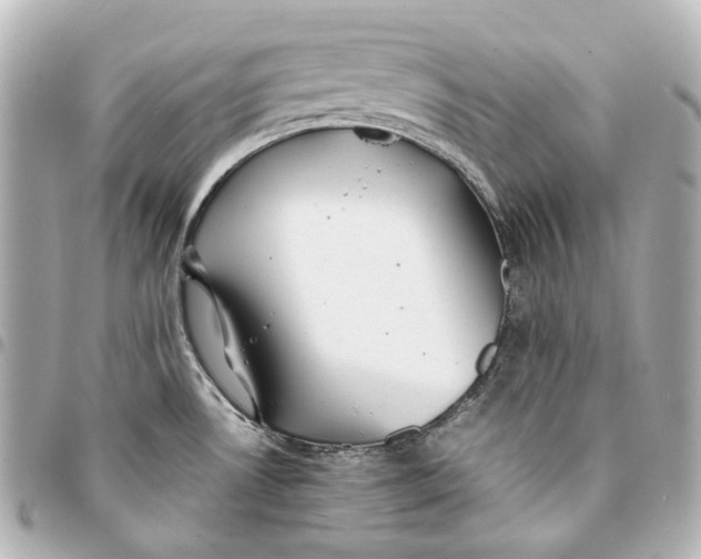 X0000094971530200712201211