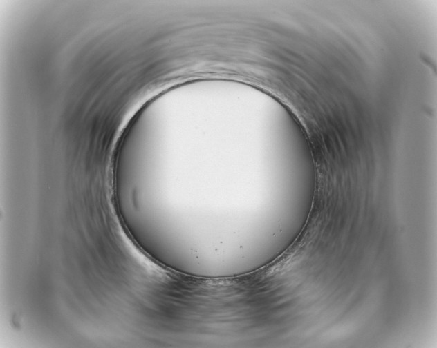 X0000094971531200712201211