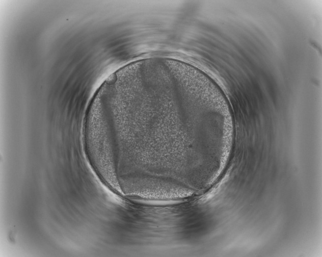 X0000094971533200712201211