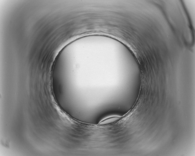 X0000094971534200712201211