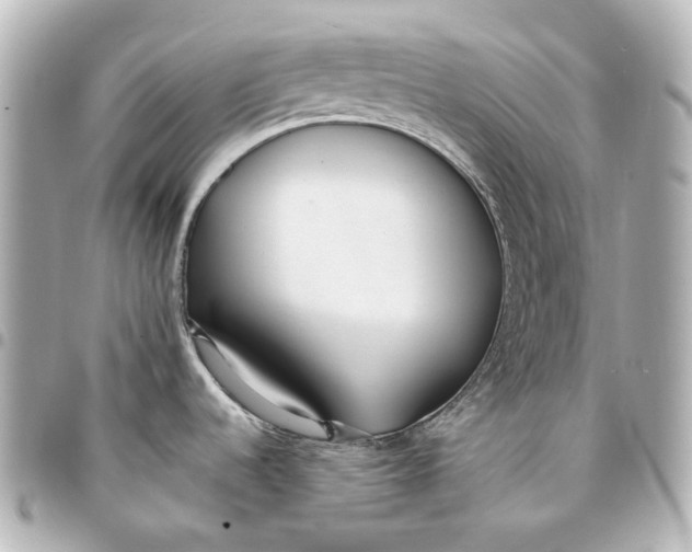 X0000094971536200712201211