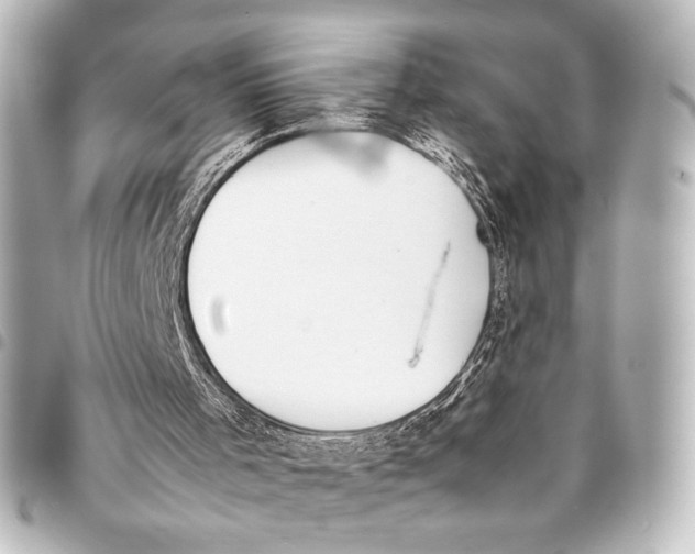 X0000094970001200712271753