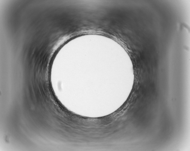 X0000094970008200712271753
