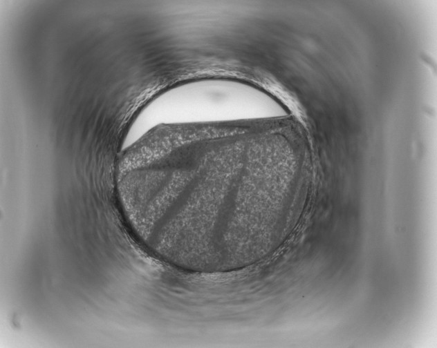 X0000094970009200712271753