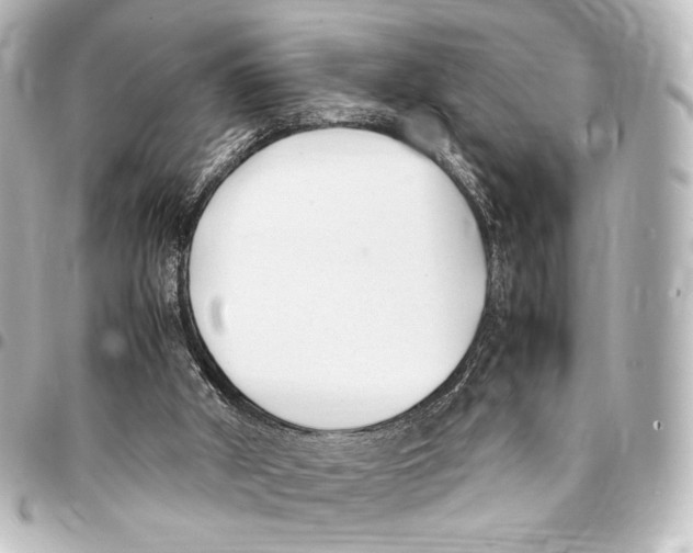 X0000094970010200712271753
