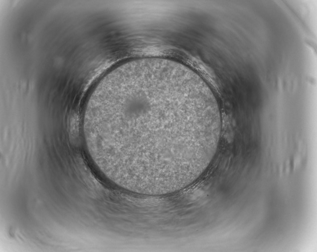 X0000094970012200712271753