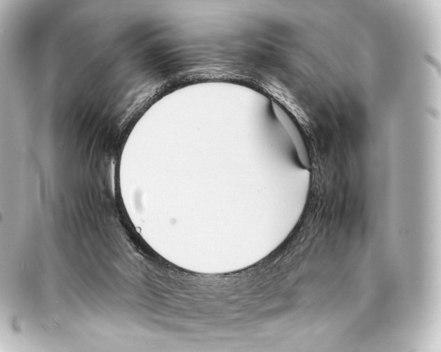 X0000094970014200712271753