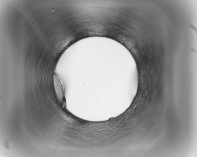 X0000094970017200712271753