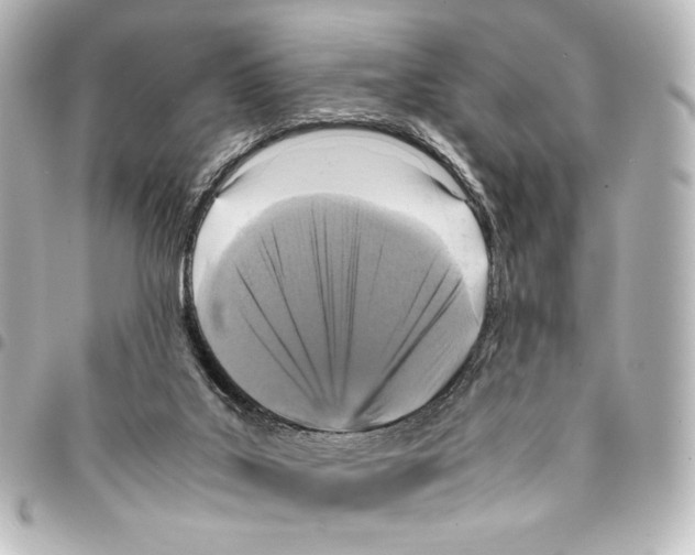 X0000094970019200712271753