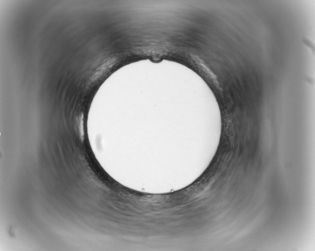X0000094970020200712271753