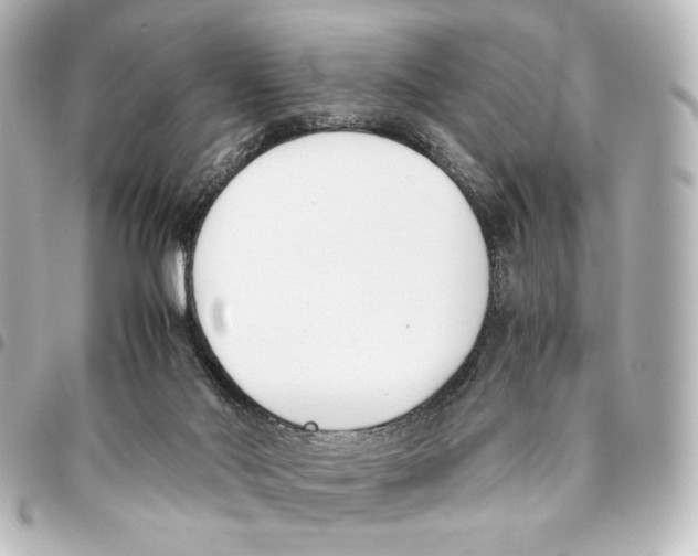 X0000094970022200712271753