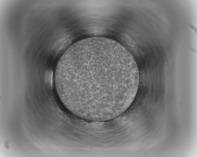 X0000094970024200712271752