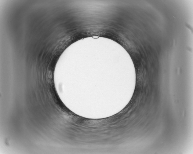 X0000094970025200712271752