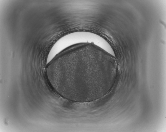 X0000094970029200712271752