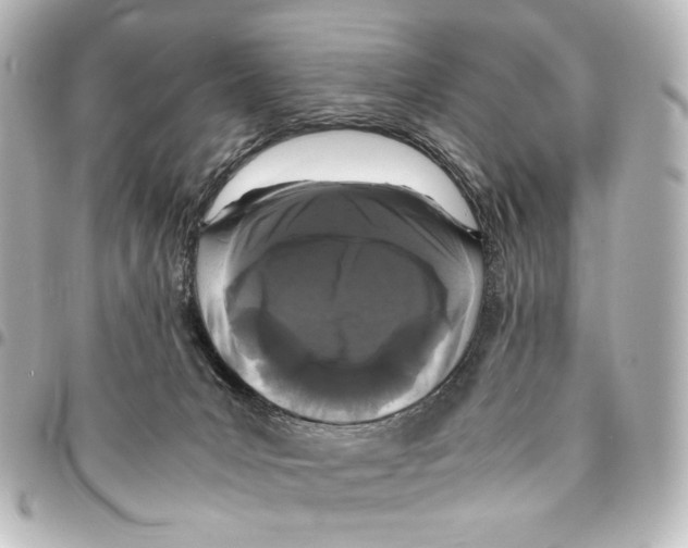 X0000094970031200712271752