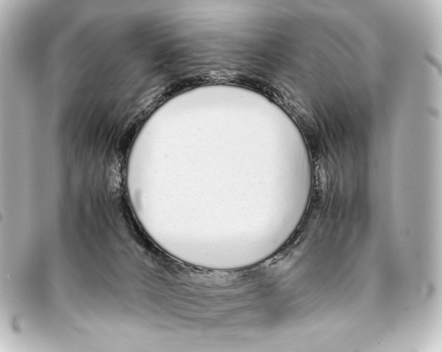 X0000094970032200712271752