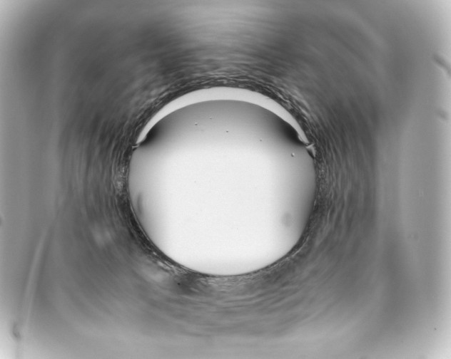X0000094970033200712271752