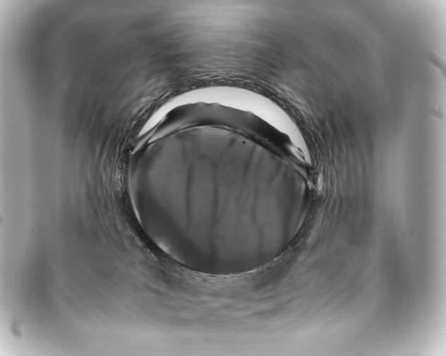 X0000094970039200712271752