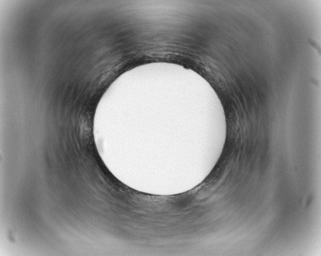 X0000094970040200712271752