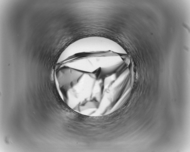 X0000094970041200712271752