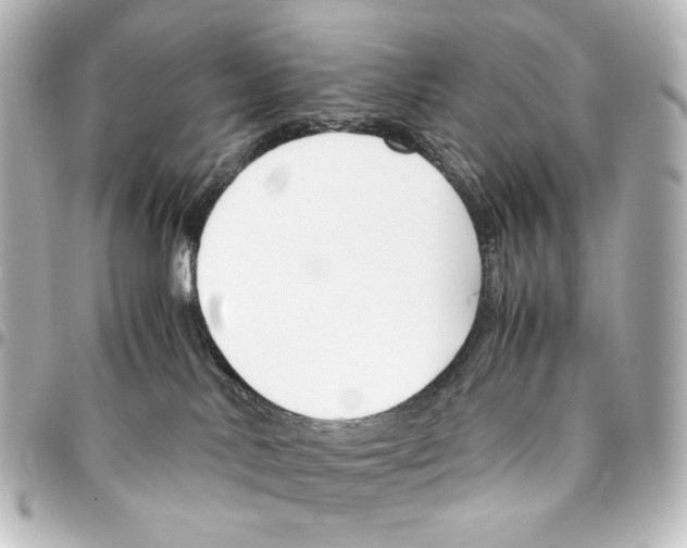 X0000094970042200712271752