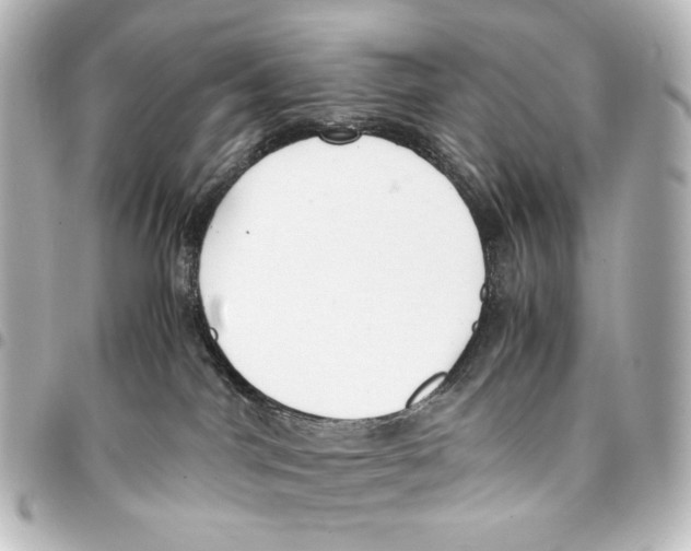 X0000094970044200712271752