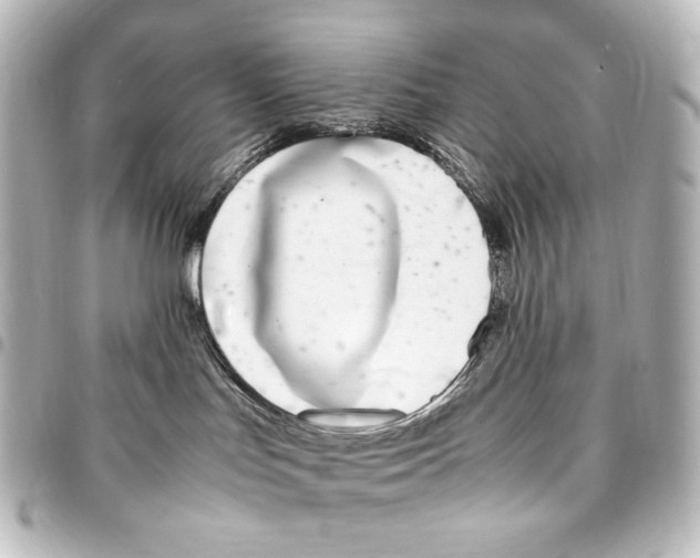 X0000094970047200712271752