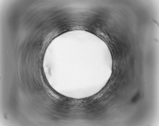X0000094970049200712271751