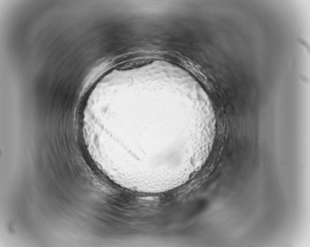X0000094970053200712271751