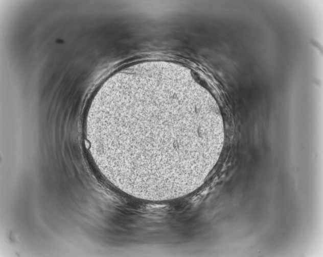 X0000094970055200712271751