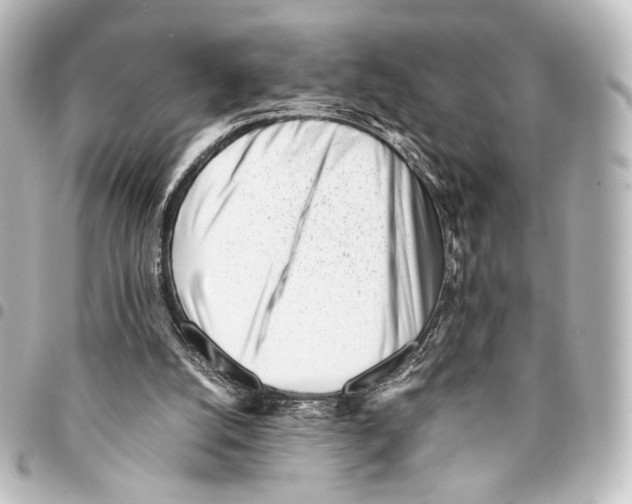 X0000094970056200712271751