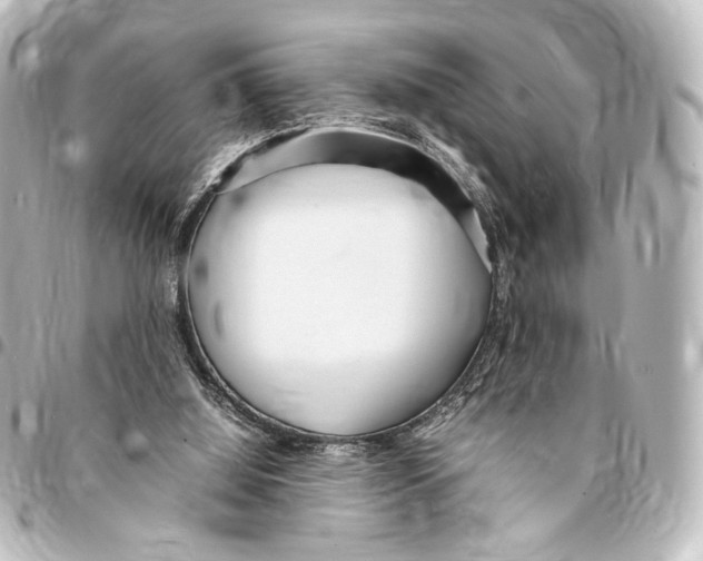 X0000094970060200712271751