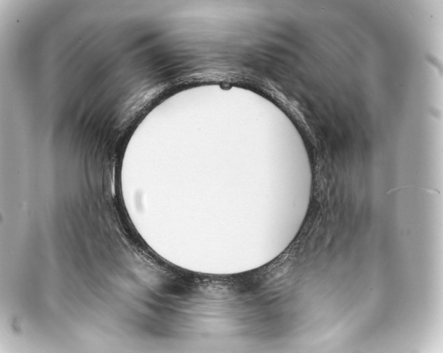 X0000094970062200712271752