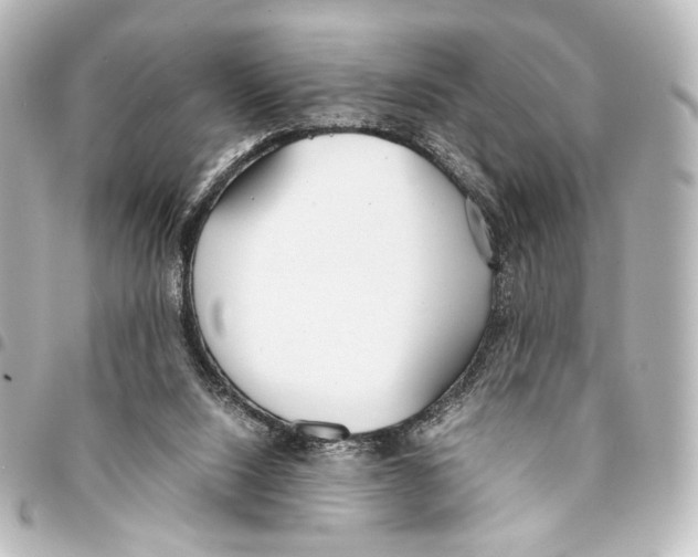 X0000094970064200712271752