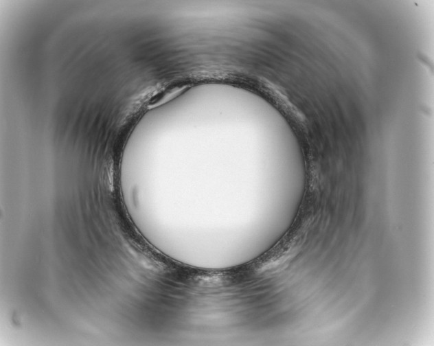 X0000094970068200712271752