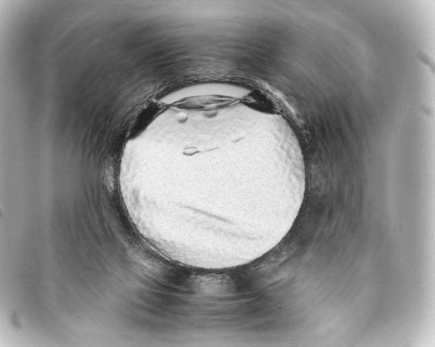 X0000094970069200712271752