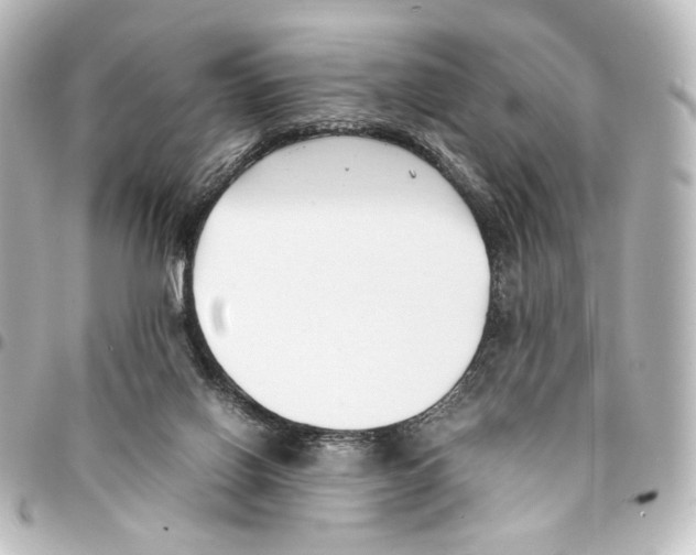 X0000094970070200712271752