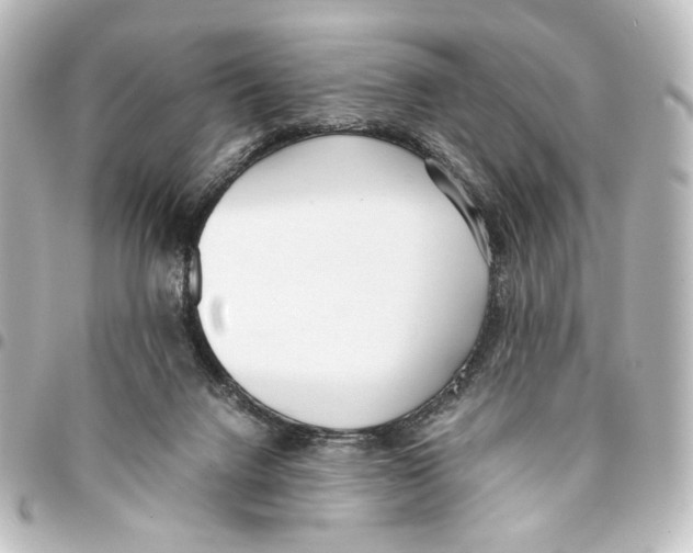 X0000094970072200712271752