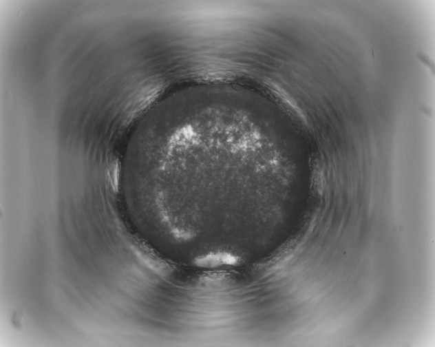 X0000094970076200712271752