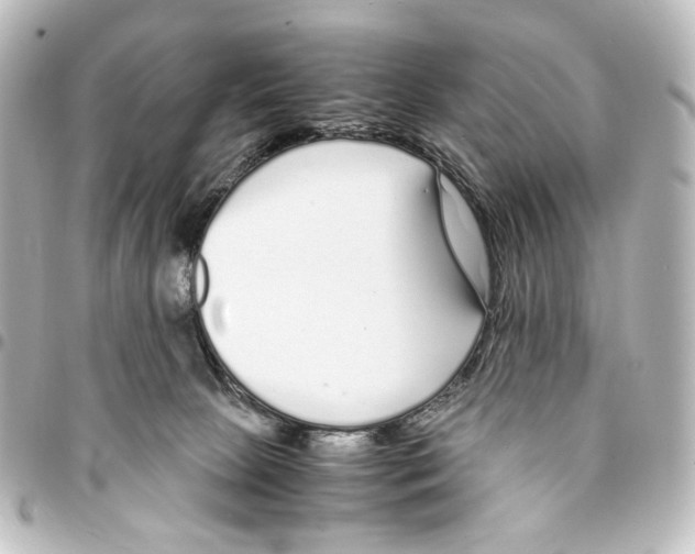 X0000094970081200712271752