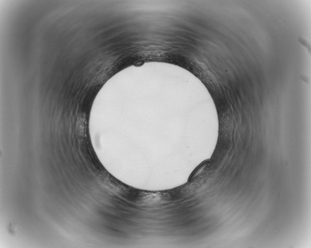 X0000094970083200712271752